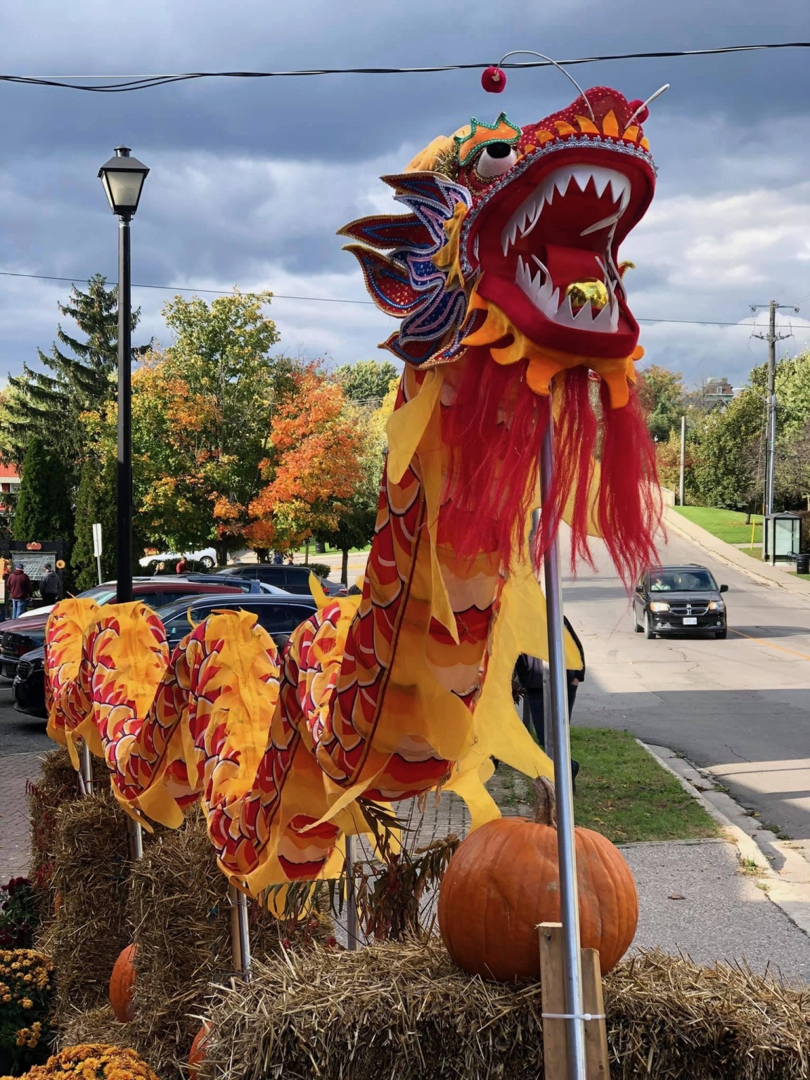 Waterford Pumpkin Festival 2024 Kyle Shandy